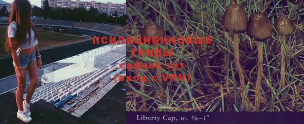 гидропоника Алексин