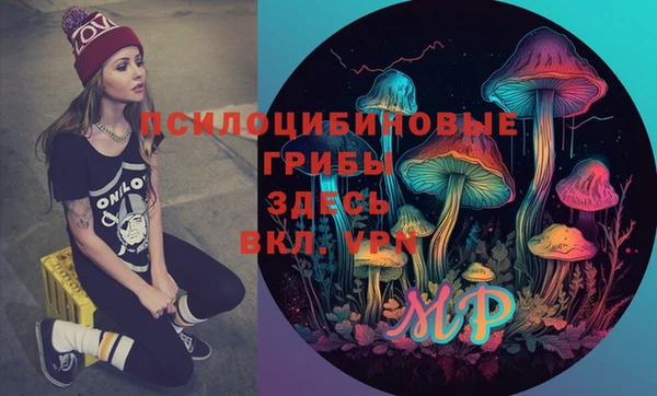 хмурый Алексеевка