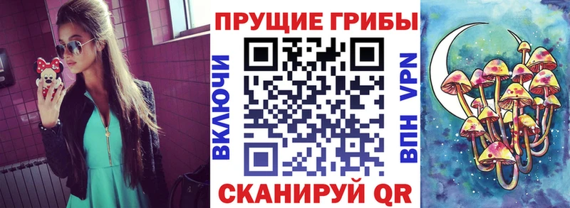 Галлюциногенные грибы GOLDEN TEACHER маркетплейс телеграм Волоколамск наркота
