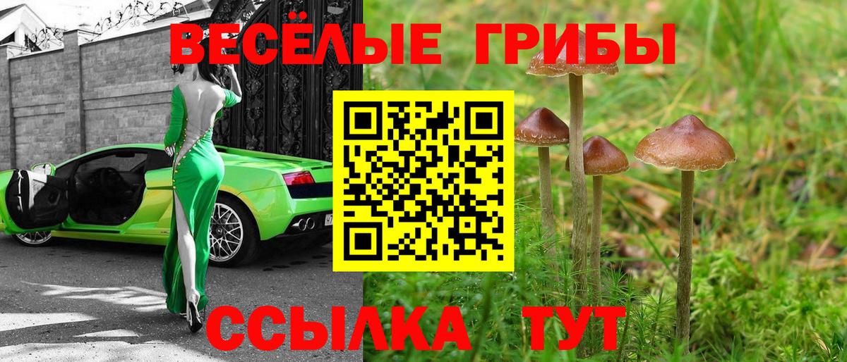 где купить   Вход с VPN  Волоколамск  Псилоцибиновые грибы MAGIC MUSHROOMS 