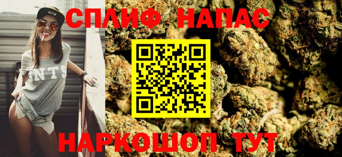 МАРИХУАНА сатива Волоколамск